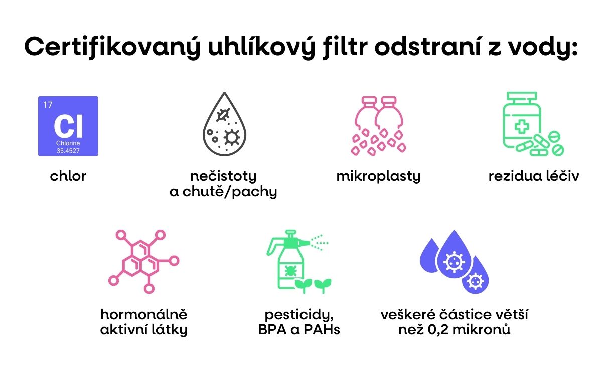 infografila filt skola